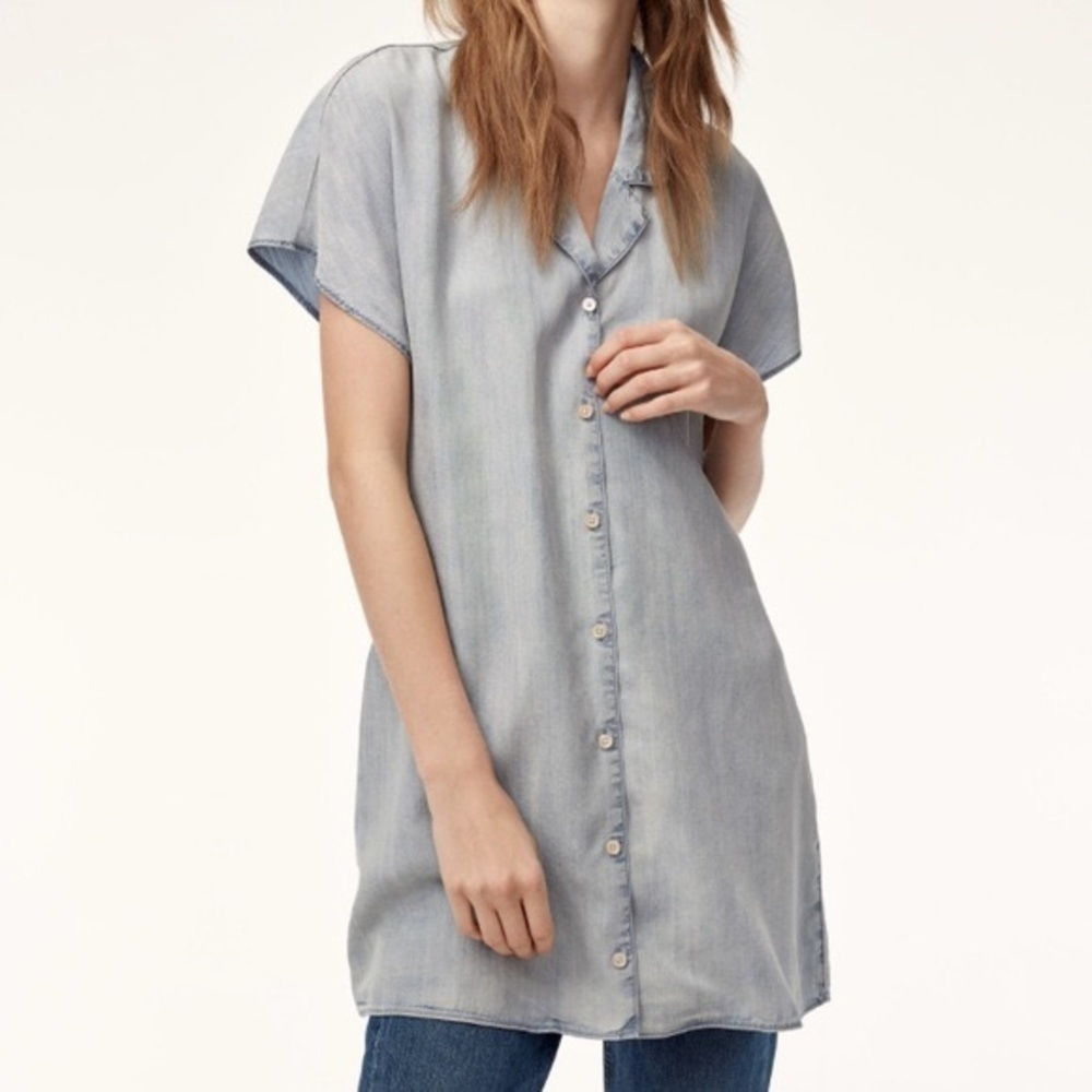 Aritzia Wilfred Free Radhika Dress